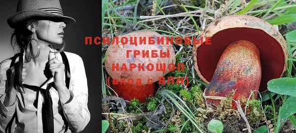 хмурый Осташков