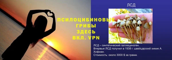 хмурый Осташков