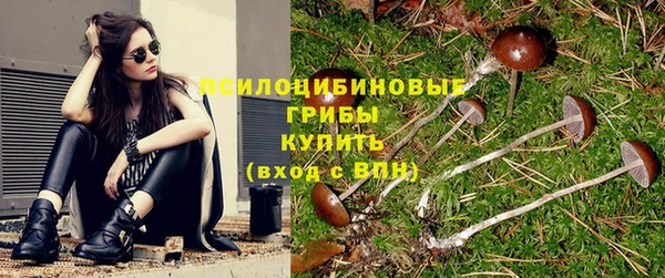 ешки Остров