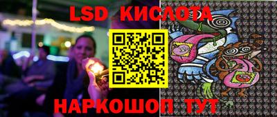 шишки Камышлов