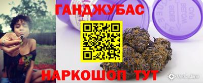 шишки Камышлов