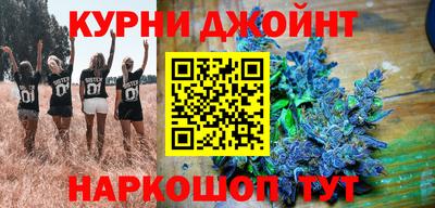шишки Камышлов