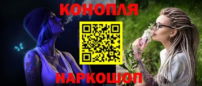 шишки Камышлов