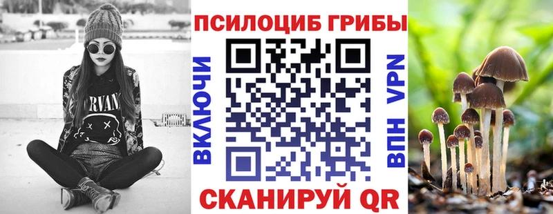 купить   Новосибирск  Галлюциногенные грибы мицелий 