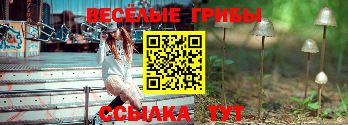 Псилоцибиновые грибы Magic Shrooms Новосибирск